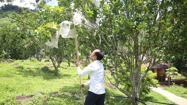 Nỗ lực đưa vốn đến với hộ nghèo, cận nghèo và các đối tượng chính sách