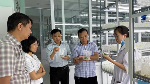 Sơn Tây Thượng - Hành trình thắp lên hy vọng mới cho bà con vùng cao